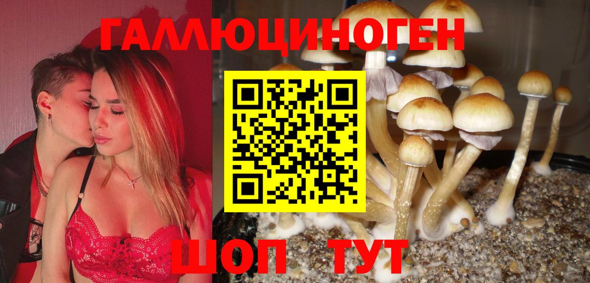 Рославль  Кетамин  Конопля  Меф   Вход с VPN  ГАШ  Кодеин 