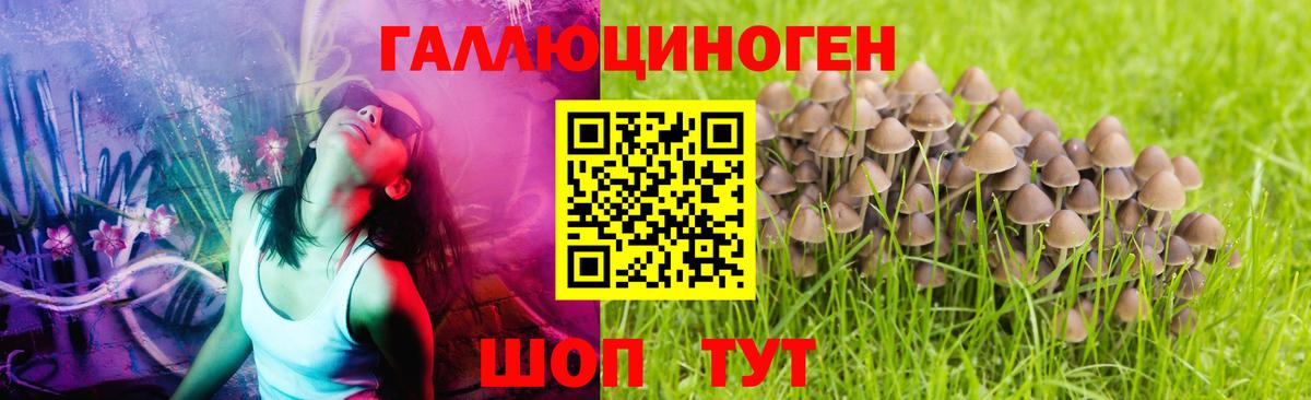 Рославль  Галлюциногенные грибы GOLDEN TEACHER  Вход с VPN 